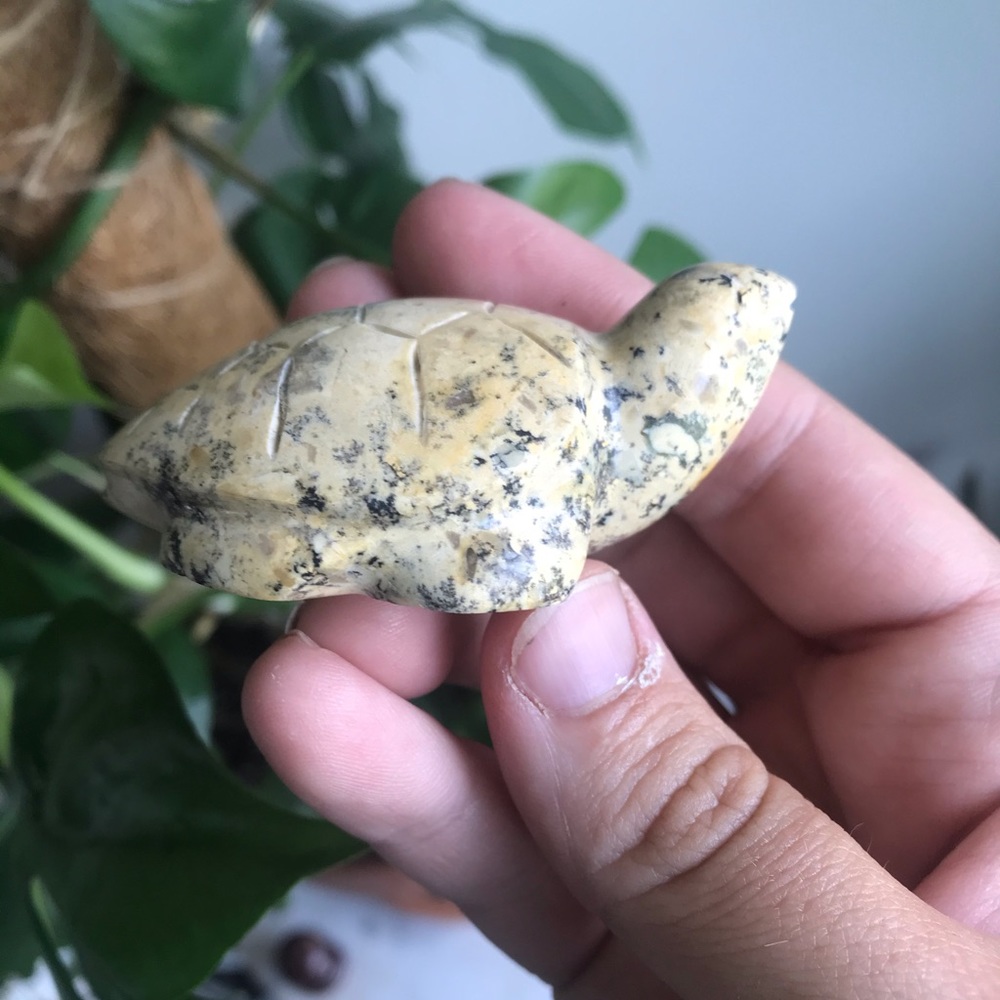Dendritic agate turtle
